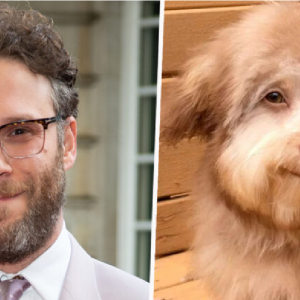 Anjing Ini Dikatakan Mirip Pelakon Komedi Terkenal Seth Rogen, "Comel Gila"