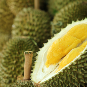 Harga Musang King Turun Separuh Harga Akibat Koronavirus