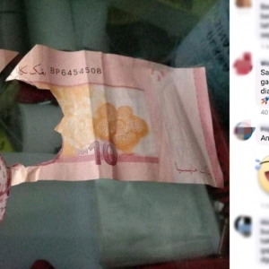 " Cikgu Pesan Bawa 5 Keping Gambar Bunga Rafflesia" - Anak Ini Dikatakan Bakal Jadi Gabenor