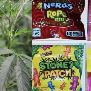 Aduhai, Pelajar Sekolah Tertipu Makan Coklat Ganja