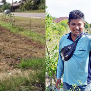 Bos Cakap Tak Guna 1 sen. Aku Balik Kampung Tanam Cili Terkejut Raih RM40,000 Sebulan