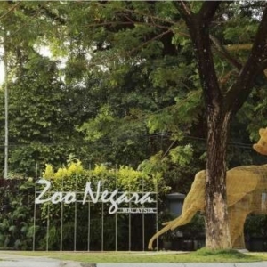 Zoo Negara Hanya Mampu Bertahan Tiga Bulan Sahaja