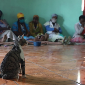 Paku Tembus Tengkorak, Kemaluan Budak 3 Tahun Dipotong Bapa