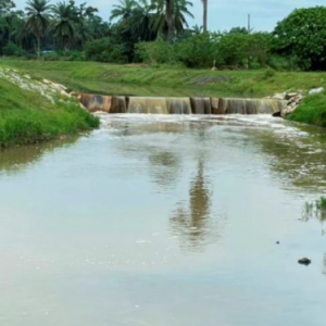 "Derita Berlarutan, Tiada Kesudahan," -Bila Isu Pencemaran Najis Babi Di Sungai Kereh Akan Berakhir?