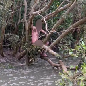 Lelaki Bogel Di Lubuk Buaya Rupanya Penjenayah Dikehendaki