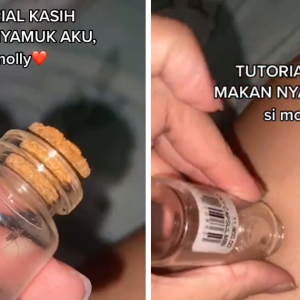 Nyamuk Juga Dipilihnya Jadi Peliharaan, Sampai Buat Tutorial Bagi Makan!