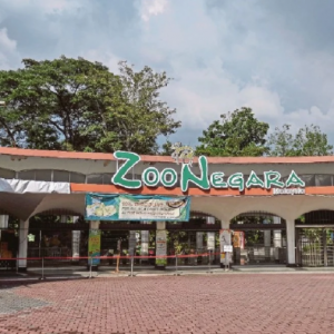 Zoo Negara Hanya Mampu Bertahan Hingga April Ini Sahaja