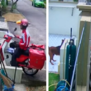 Pos Malaysia Siasat Posmen Lastik Anjing Sampai Cedera Mata