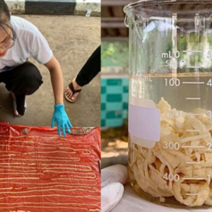 Suka Makan Daging Lembu Mentah, Cacing Pita 59 Kaki Keluar Dari Dubur