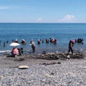 Wah masyuk! Penduduk berduyun-duyun kutip emas percuma tepi pantai