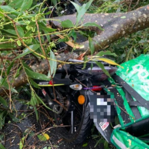 Rider Maut Dihempap Pokok Tumbang Akibat Angin Kencang Dan Hujan Lebat