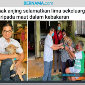 Anak anjing selamatkan 5 sekeluarga daripada maut dalam kebakaran