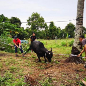 Orang  Kelantan Minta Dibenar Buat Korban