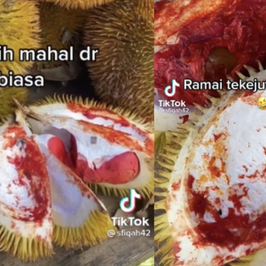 Inilah Durian Merah Kegemaran Opet Dalam Animasi Upin & Ipin