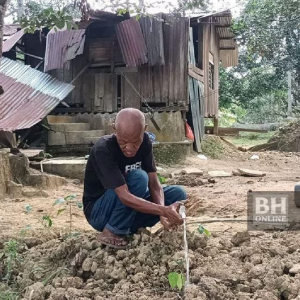 Rumah  Tidak Berdinding, Lantai Berlubang Dan Bumbung Roboh-Sebatang Hidup Dalam Kebun