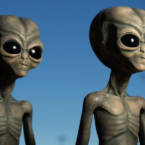 Macam Tribble Yang Berbulu, 'Alien' Tak Ganas Dan Suka Dipeluk - Ahli Zoologi