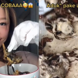 Wanita Tular Makan Tarantula Peliharaannya Yang Sudah Mati