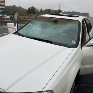 Penat Bergelut Dengan Mangsa, Pencuri Kempunan Sebab Tak Pandai Bawa Kereta Manual