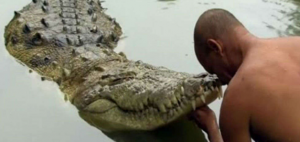 Buaya 'Vegetarian', Makan Nasi Dua Kali Sehari