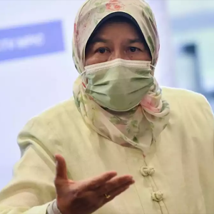 Zuraida Teraju Parti Bangsa Malaysia?