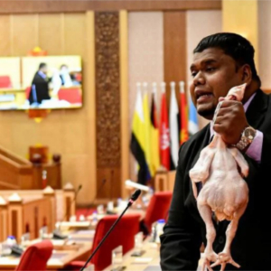 "Harap Tak Ada Yang Nak Bawa Kambing Atau Lembu Hari Ini Ya"