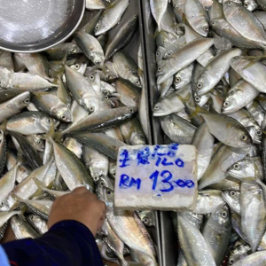 Dulu RM5 Je Sekilo- Harga Ikan Melambung Naik Tiga Kali Ganda Di Kedah