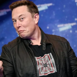 Elon Musk Cabar Putin Bertarung - "Taruhannya Adalah Ukraine"