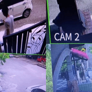 Monyet Curi Parcel, Nasib Baik Ada CCTV