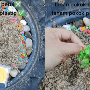 "Fatin Mana Fatin?" - Cikgu Berdekah Lihat Anak Muridnya Tanam Pokok Plastik