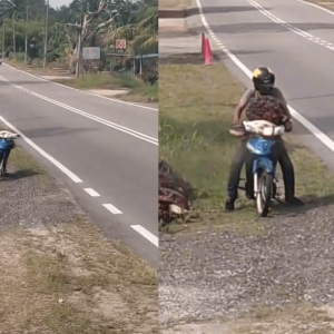 Netizen Bengang Lihat Lelaki Mencuri Dua Tandan Sawit Di Tepi Jalan