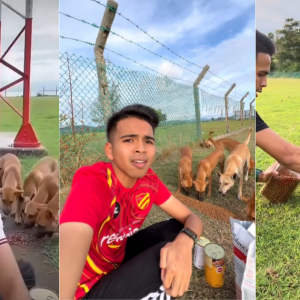 "Tak Salah Kita Kongsi Rezeki," - Pemuda Harap Orang Buang Stereotaip Anjing Binatang Ganas