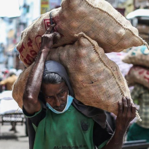 Sri Lanka Beri Cuti Kepada Kakitangan Awam Untuk Bercucuk Tanam