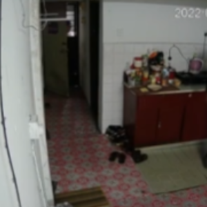 Tular Rakaman CCTV Wanita Jerit Minta Tolong, Dua Lelaki Ada Dalam Rumah
