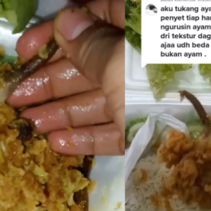 Ayam Bertukar Tikus ‘Crispy’ Dalam Nasi Ayam