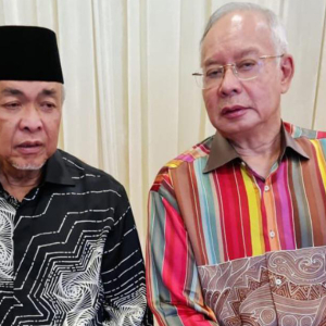 Nurulhidayah Berlapang Dada Bila Netizen Komen 'Zahid Is Next'