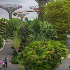 "Gardens By The Bay Di Singapura, Malaysia,"- National Geographic Tapi Peta Pun Gagal