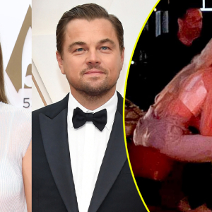 Leonardo DiCaprio Dikritik Tak Sepadan Bercinta Dengan Gigi Hadid