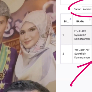 Sistem Tertinggal Huruf 'F' - Aliff Syukri Buktikan Terima Pangkat ‘Dato Sri’ Waktu Usia 30 Tahun