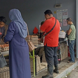 Kedai Buka 9 Pagi, Lepas Subuh Pelanggan Dah Beratur Panjang Nak Beli Telur, "Kalau Lambat Memang Tak Merasa"