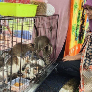 Banjir Dengkil: Harta Benda Dalam Rumah Rosak Habis, Hanya Sempat Selamatkan 10 Kucing