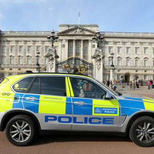 Polis Tahan Lelaki Cetus Kebakaran Kecil Di Istana Buckingham