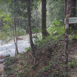 Penyenggara Paip Dikhuatiri Lemas Jatuh Dari Tingkat 5 Air Terjun