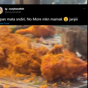 Tengah Makan Kat Mamak, Ternampak Tikus 'Ratah' Ayam, KKM Pantas Bertindak Minta 'Details' Restoran