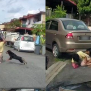 Budak 10 Tahun Trauma Dikejar Dan Digigit Sampai Luka Teruk, Tuan Anjing Kata "Bukan Mati Pun Kan? Anjing Bergurau Je"