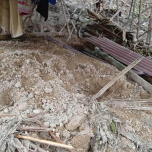 Beruang Masuk Kampung Di Gua Musang, Gali Kubur Dan Makan Mayat