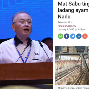 'Abang Mat, Jauh Jelajah! Perlu Ke India Tengok Telur Ke?' - Wee Ka Siong