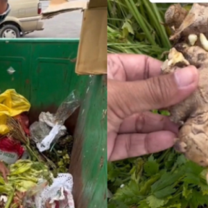 Dumpster Diving Mula Tular Di Malaysia, Korek Tong Sampah Cari Makanan Yang Masih Boleh Dimakan