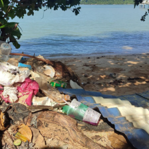 Penuh Bekas Polisterin, Sisa Makanan Dan Lampin Pakai Buang- Pantai Di Kedah Cantik Tapi Kotor Dan Busuk