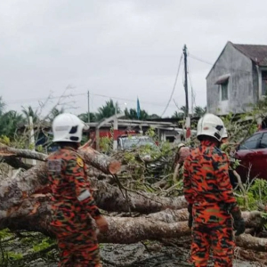 Remaja Perempuan 14 Tahun Maut Dihempap Pokok Tumbang Di Taman Permainan Balok Baru 1