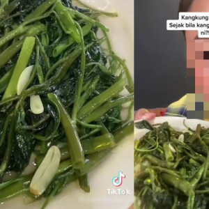 Pelanggan Tak Puas Hati Makan Di Kedai Viral, Kangkung Sepinggan Sampai RM22!